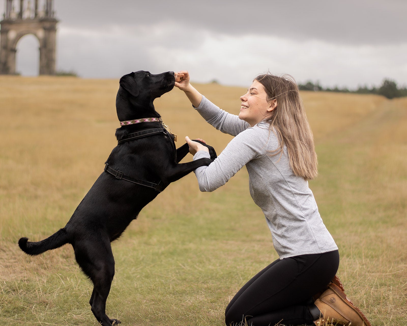 Why We Spoil Our Dogs: A Passion for Prevention and Love