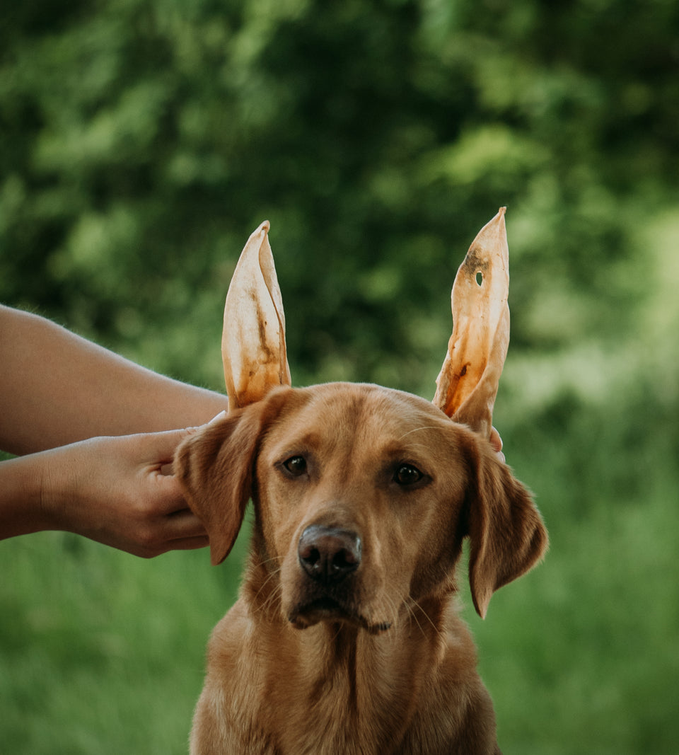 Goat Ear Dog Treat | Natural Air-Dried Dog Treats | Loose Goat Ears | Anco Naturals