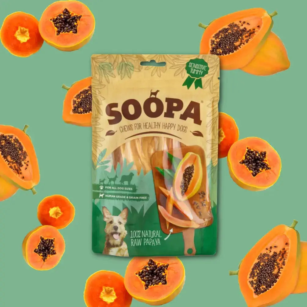 Natural Papaya Dog Chews | Vegan Dog Treats | Single Ingredient Dog Treats | Soopa Dog Chews