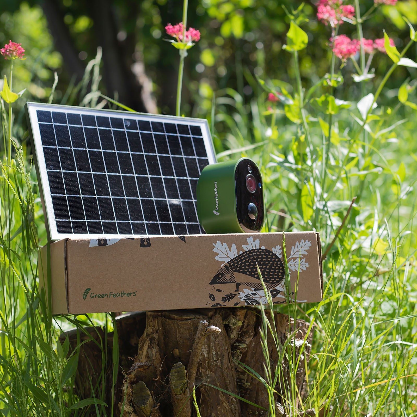 Solar Powered WIFI Bird Box Camera