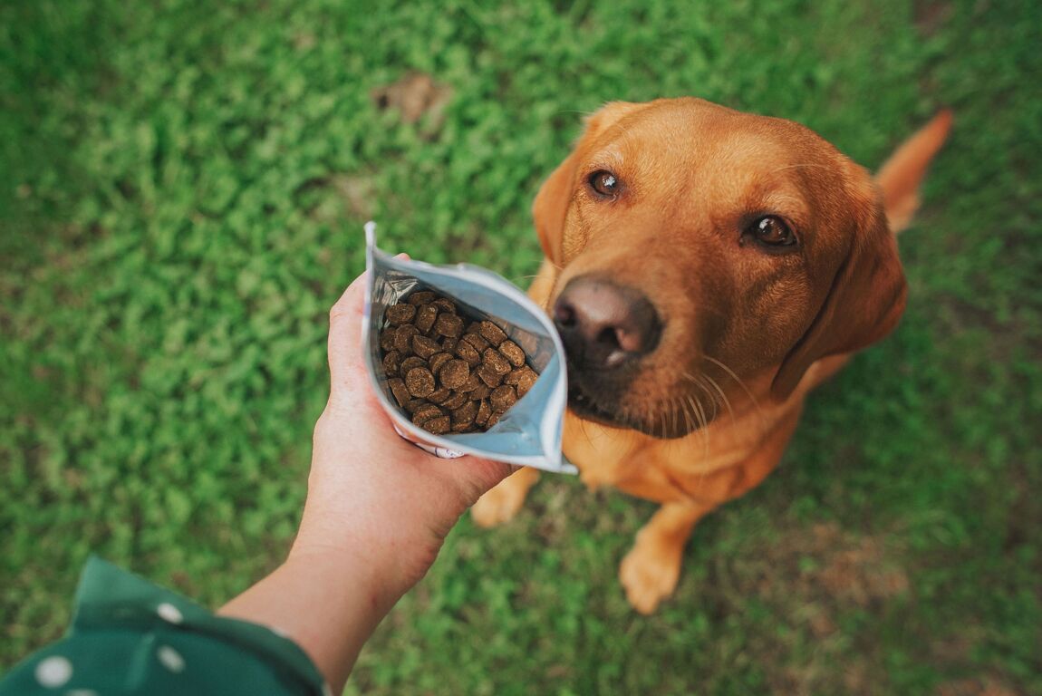 Denzel's Surf 'N' Turf Bites Shrimp, Chicken & Sweet Potato - Training Treats for Dogs