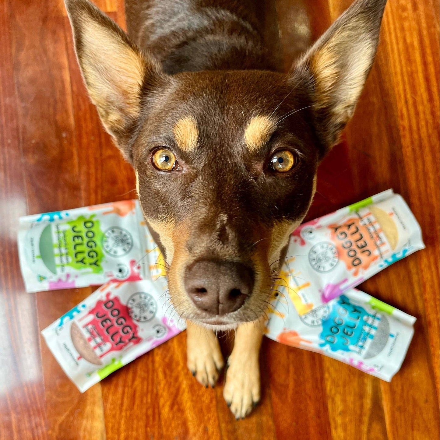 Pineapple, Mango & Tumeric Doggy Jelly Superfood Jelly for Dogs - Lulu's Kitchen
