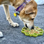Mandala Design eTray Enrichment Tray for Dogs Green