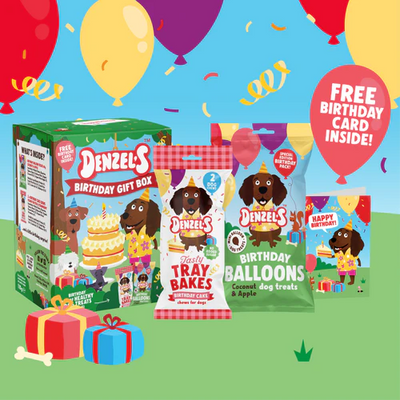 Doggy Birthday Dog Treat Box | Birthday Gift for Dogs | Denzel's