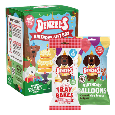Doggy Birthday Dog Treat Box | Birthday Gift for Dogs | Denzel's