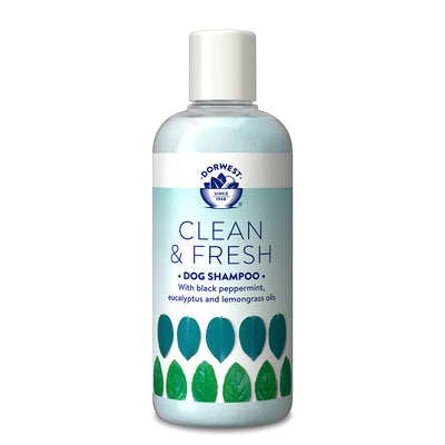 Dorwest Clean & Fresh Shampoo 250ml