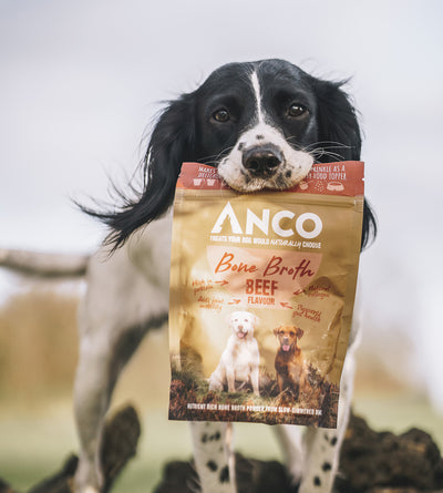 Beef Bone Broth for Dogs 120g | Supplement for Dogs - Anco