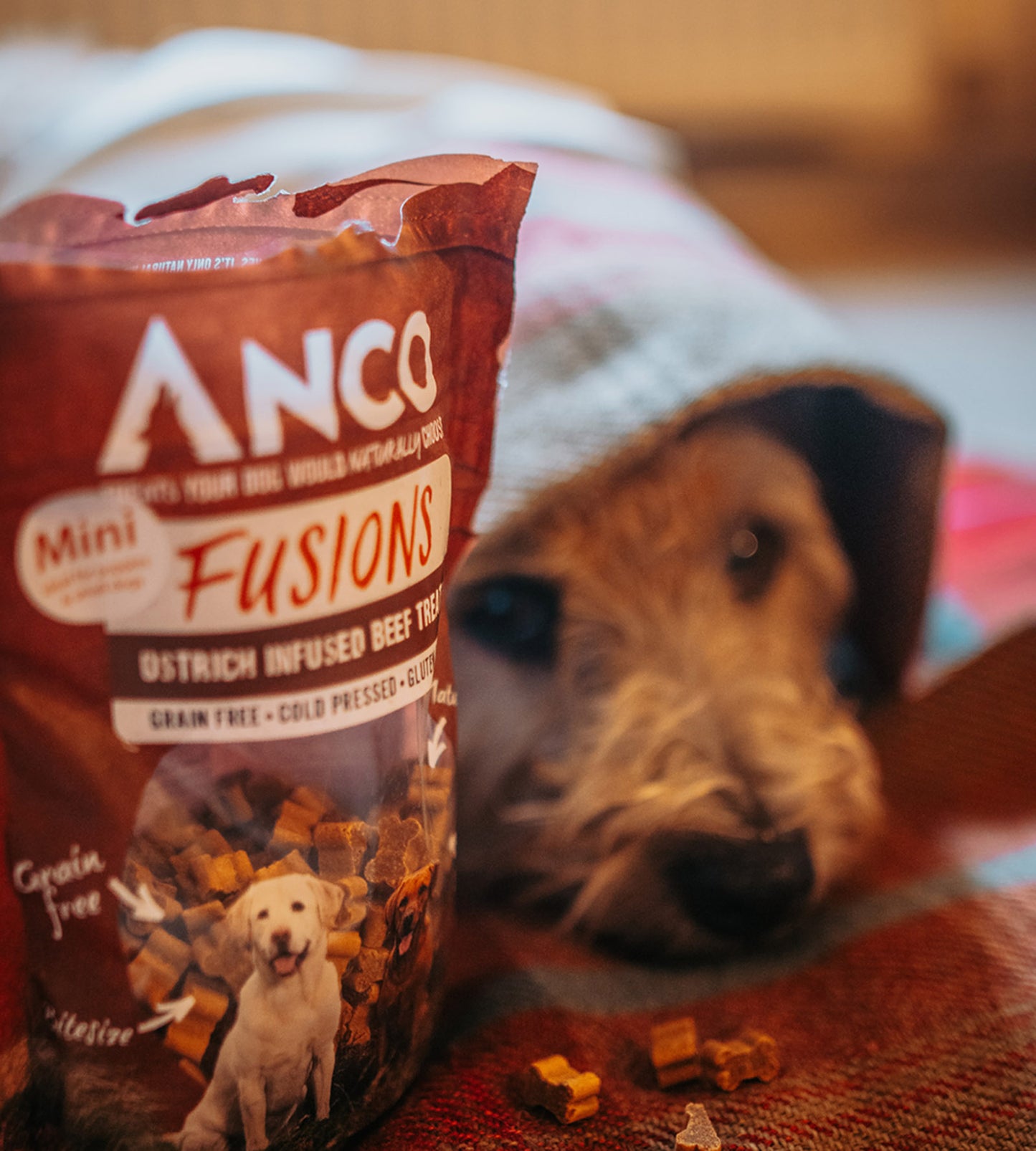 Mini Beef & Ostrich Fusions Dog Treats 120g | Dog Training Treats | Anco