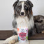 Strawberry Superfood Doggy Jelly for Dogs - Lulu's Kitchen