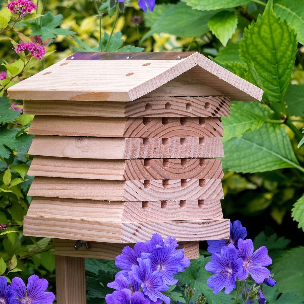 Wildlife World Solitary Bee Hive