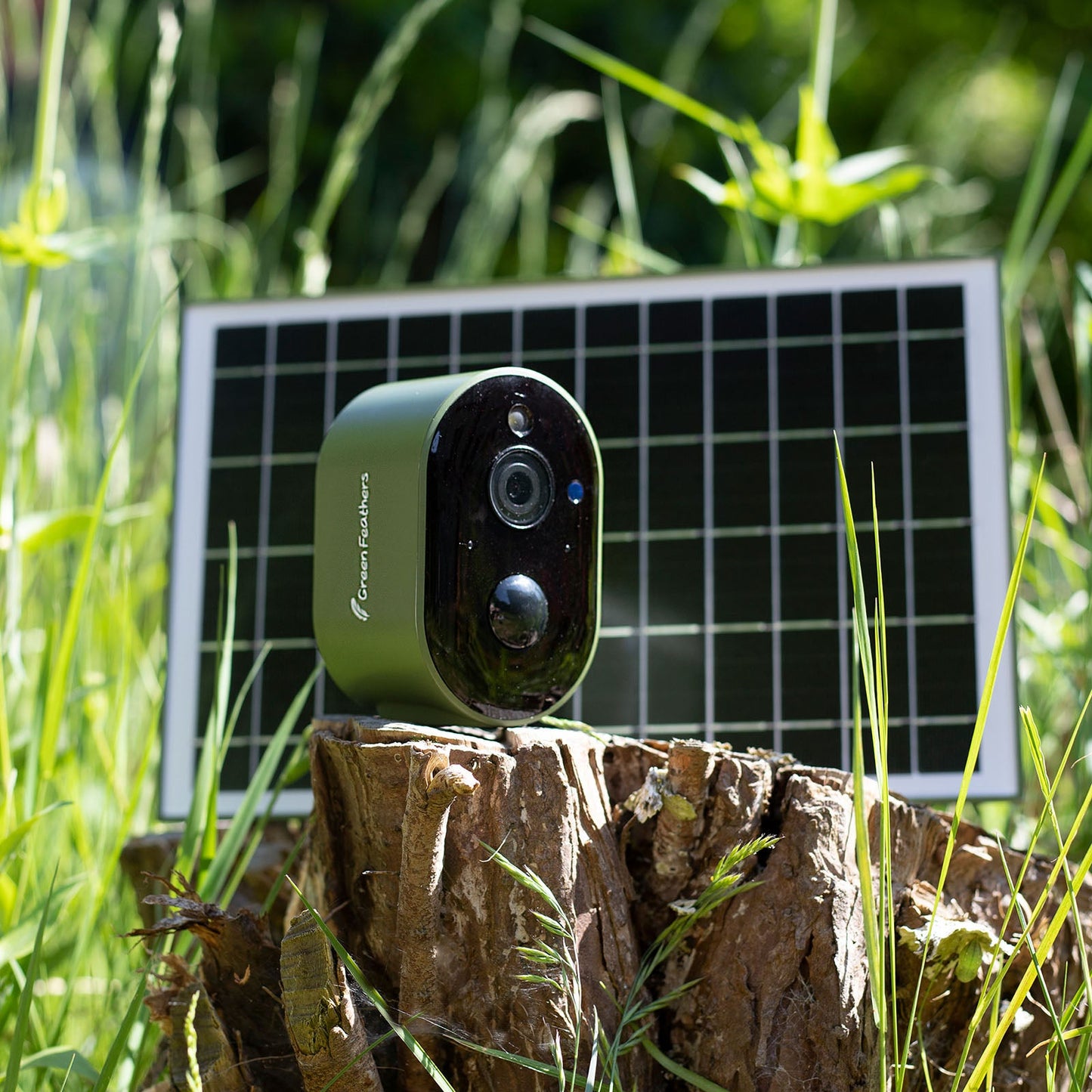 Solar Powered WIFI Bird Box Camera