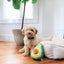 Avocado Plush Dog Toy | ZippyPaws