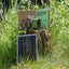 Solar Powered WIFI Bird Box Camera